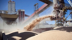 Una industria que se paga y nadie hace nada por salvarla | Economía y Finanzas | 5Días