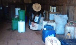 Faenan vaca, hurtan cerdos, gallinas y varios objetos de establecimiento