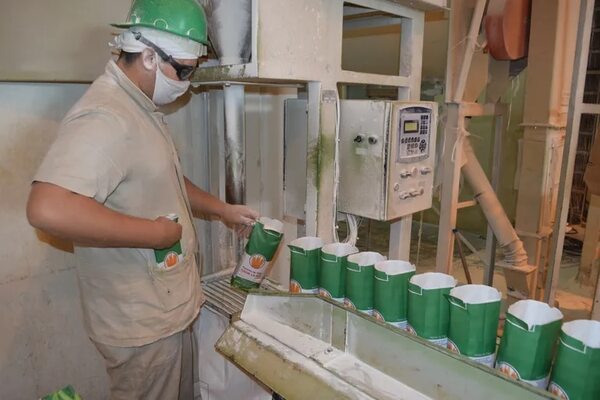 Cooperativa La Paz, en el epicentro del desarrollo de la comunidad - Nacionales - ABC Color