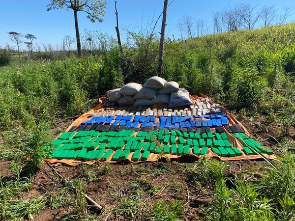 Eliminan media tonelada de marihuana de la Reserva Morombí - Unicanal