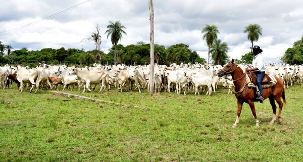 Gremios productivos advierten que es ilegal el cobro de patente comercial a SA agropecuarias