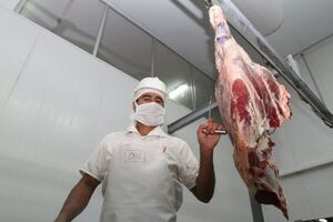 Técnicos canadienses auditarán calidad de la carne paraguaya con miras a exportarla a su país - .::Agencia IP::.