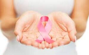 Campaña “Octubre Rosa” va ganando fuerza año tras año | 1000 Noticias