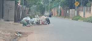 Peligro basura en plena calle! » San Lorenzo PY