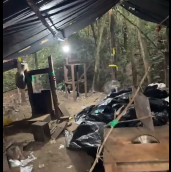 Diario HOY | Destruyen campamento narco en Capitán Bado con más de 1 tonelada de droga