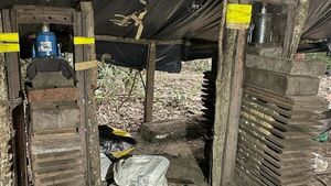 Eliminan cargamento de marihuana en un campamento en Amambay