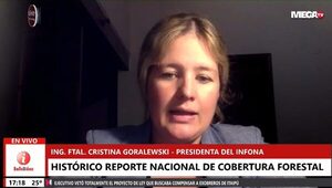 Unas 756.000 ha pasaron por el cambio de uso de la tierra entre el 2017-2020, según reporte del Infona - Megacadena — Últimas Noticias de Paraguay