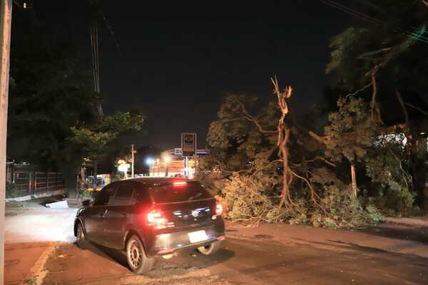 Diario HOY | Unos 150.000 usuarios quedaron sin energía tras el temporal