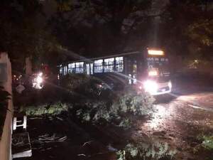Varios daños materiales por tormenta en Villa Elisa | 1000 Noticias
