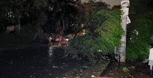 Parte de Asunción, Lambaré, Luque y Villeta siguen sin energía eléctrica tras tormenta - Nacionales - ABC Color