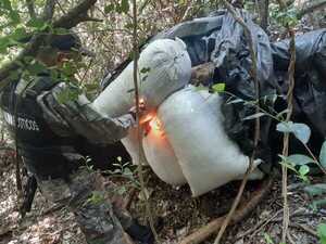 Antinarcóticos destruyó más de 500 kilos de marihuana y cinco hectáreas de la misma - Radio Imperio