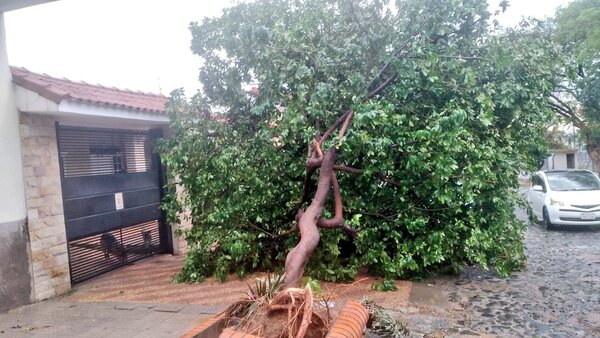 Temporal también tuvo su impacto en la Capital | 1000 Noticias