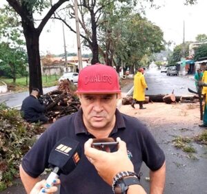 Realizan trabajos de despeje de calles por árboles caídos tras tormenta en Lambaré - Nacionales - ABC Color
