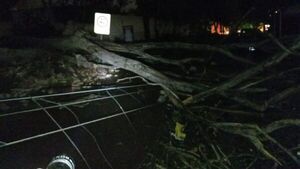 Familia quedó atrapada en su casa tras temporal