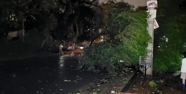 Tormenta incluyó vientos de más de 100 km/h, confirma Meteorología - Nacionales - ABC Color