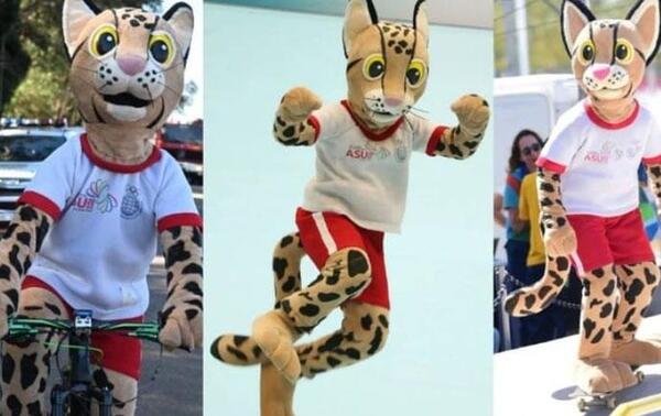 Nombraron a Tirika como "La mejor mascota de la historia" – Prensa 5