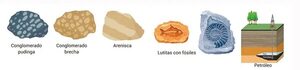 Clases de rocas (2) - Escolar - ABC Color