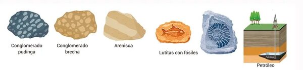 Clases de rocas (2) - Escolar - ABC Color