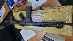 Llevaban 479 orquídeas y "flor" de fusil hacia Pedro Juan Caballero