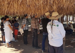 Suman 27 indígenas detenidos por bloqueos carreteros en el norte de México - MarketData