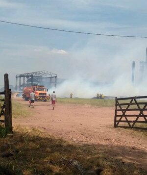 Quisieron ahuyentar abejas y causaron un feroz incendio | 1000 Noticias
