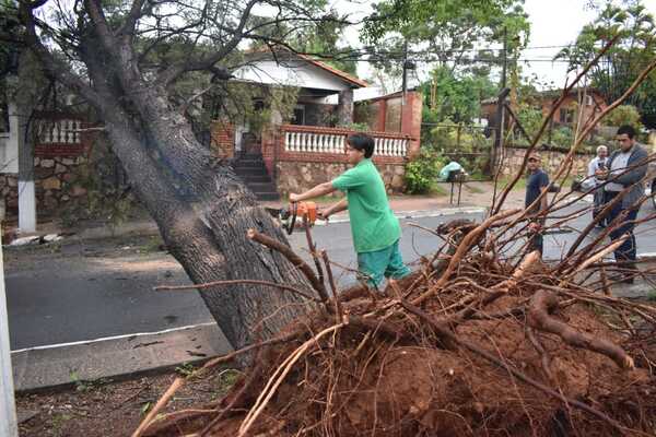 La Municipalidad de Lambaré en conjunto con la SEN realizó intensos trabajos tras caídas de árboles debido al fuerte tempora