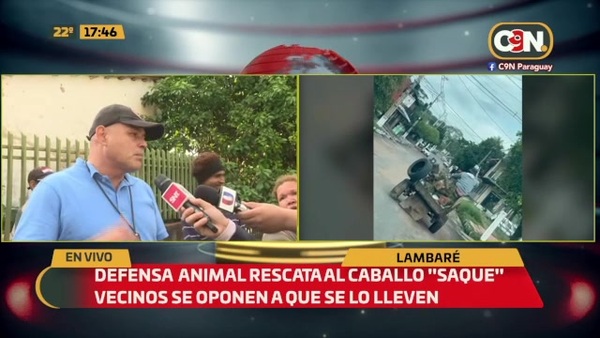Defensa animal rescata al caballo "Saque" - C9N