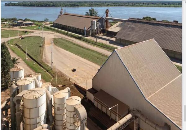 Soja: Proyectos de ley afectarían la credibilidad y confianza en la cadena agrícola e industrial - Nacionales - ABC Color