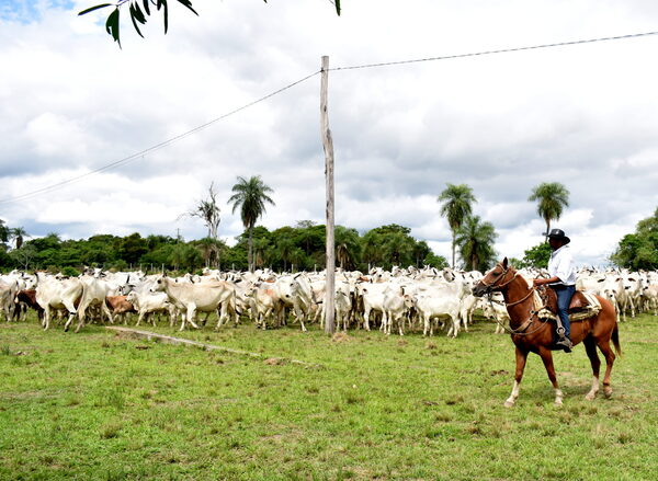 Gremios agropecuarios del Chaco se muestran preocupados ante la posibilidad del cobro de patente comercial a S.A. por parte de m