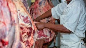 Turno de Canadá: mercado representaría ingresos por US$ 86 millones (auditoría cárnica iniciará a finales de noviembre)