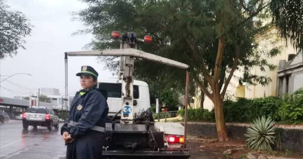 La Nación / Policía Municipal dispone de grúa para emergencias