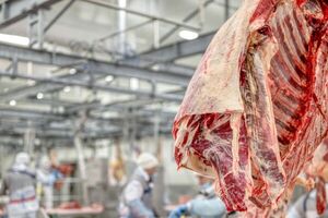 Altos precios siguen sosteniendo los ingresos por exportación de carne - MarketData