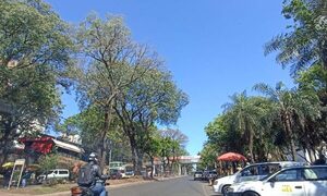 Viernes sin lluvias