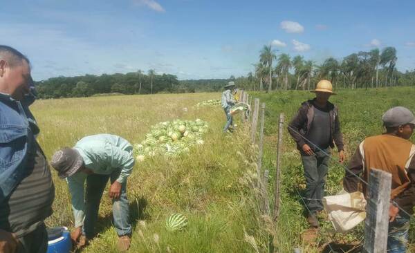 Lluvias benefician a algunos rubros del agro pero dañan a otros | Radio Regional 660 AM