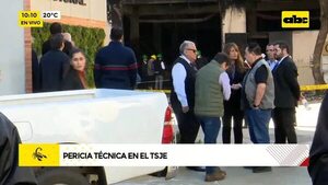 Pericia técnica en el TSJE - ABC Noticias - ABC Color
