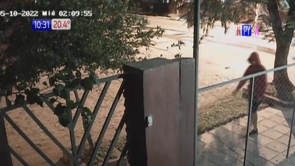 Tortoleros descubiertos por cámara de vigilancia - Paraguaype.com