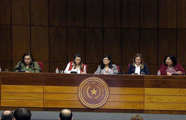 En audiencia pública debatieron sobre asignación presupuestaria destinada al sector niñez y adolescencia