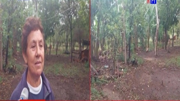 ¡Inaceptable! Roban 2 lecheras a humilde abuela | Noticias Paraguay