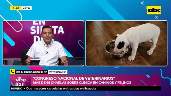 Congreso Nacional de Veterinarios - Ensiestados - ABC Color