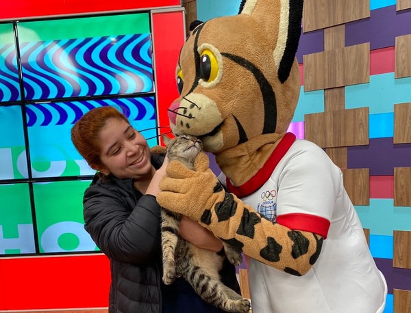 “Juanca” el gato de canal Trece sintió celos de Tirika - Te Cuento Paraguay