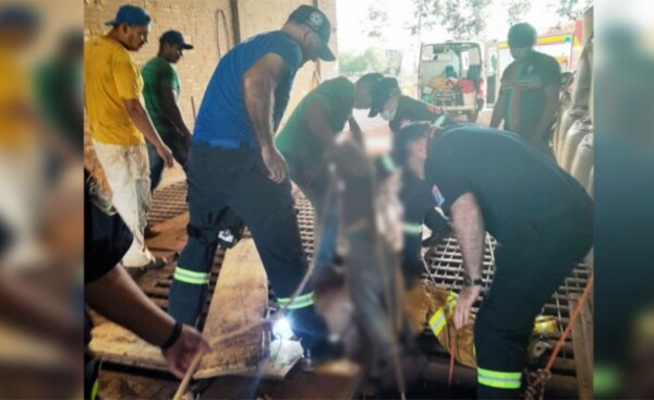 Joven muere tras caer en medio de granos en un silo de Naranjal