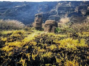 Incendio en Isla de Pascua quema varios moais y más de 100 hectáreas - Mundo - ABC Color