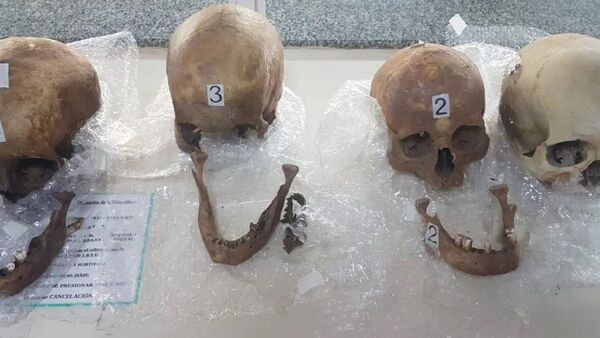 Pasajera intentó ingresar a Argentina con cuatro cráneos
