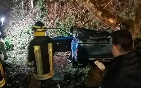 Conductor muere tras violento choque contra árbol