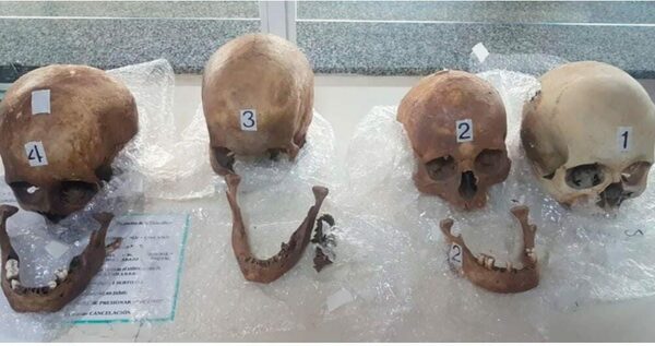 Encontraron 4 cráneos en maleta de una mujer que salió de Asunción y debía llegar a Argentina