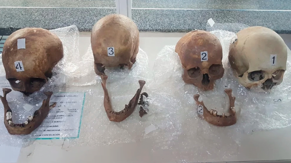 Una mujer llevaba 4 cráneos humanos en su maleta de Paraguay a Argentina - Noticiero Paraguay