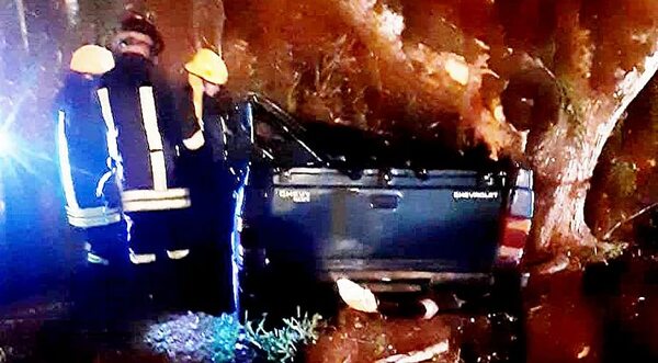 Murió tras chocar su camioneta contra un árbol - ABC en el Este - ABC Color
