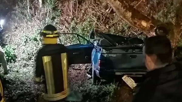 Conductor pierde la vida tras impactar contra árbol en Hernandarias