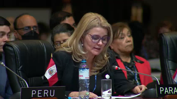 Una vez más el Paraguay deja una firme postura de respeto a la vida y da familia en la OEA