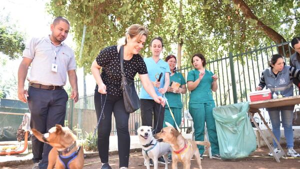Instan a vacunación y tenencia responsable de mascotas